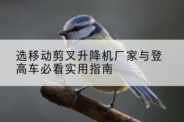 古冶电动升降机厂家-选移动剪叉升降机厂家与登高车必看实用指南