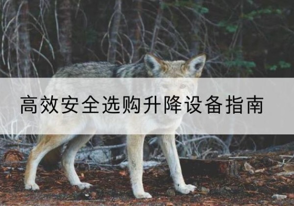 古冶升降货梯厂家推荐-*安全选购升降设备指南